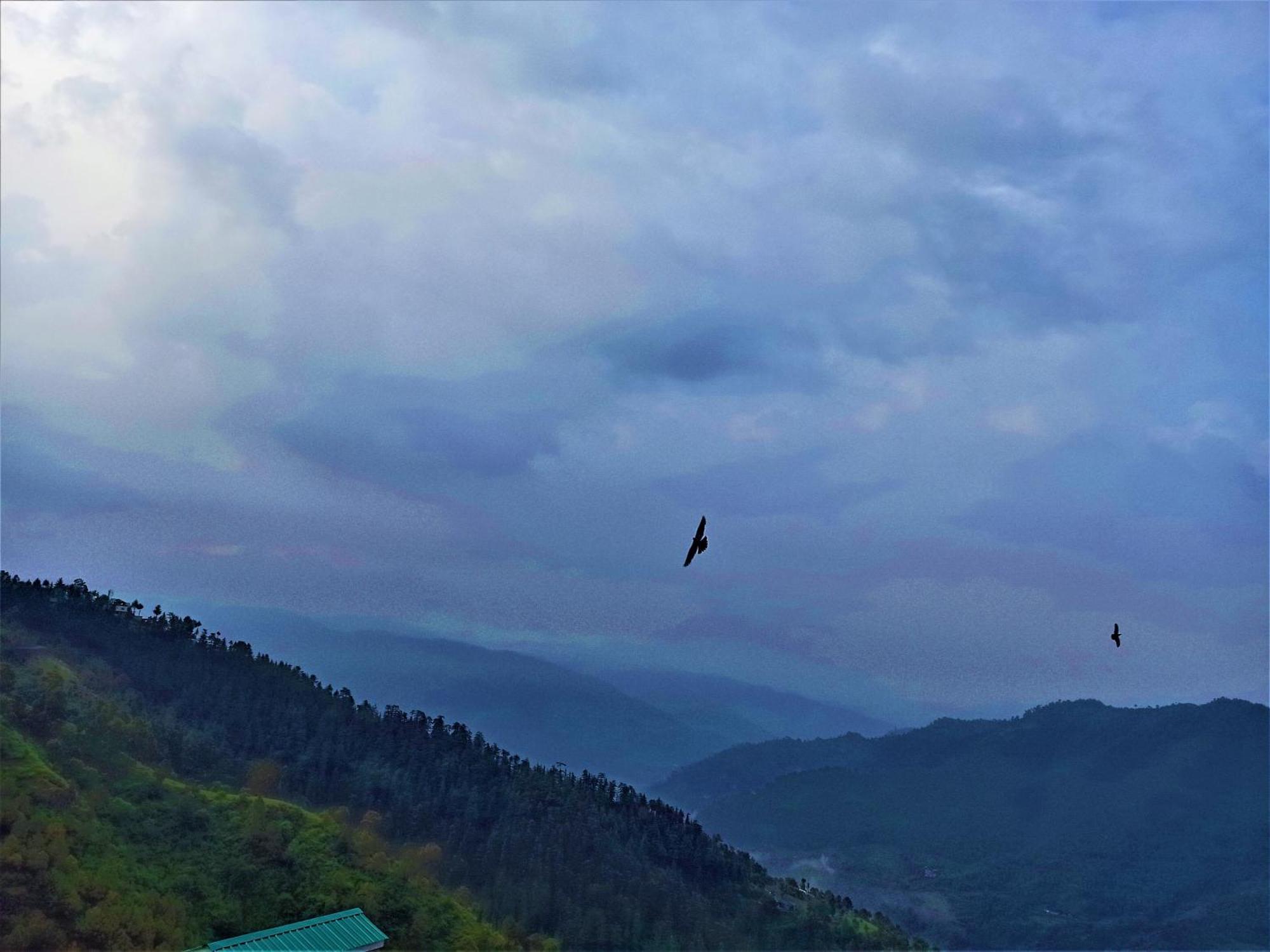 Mountain And Peace Apartment Shimla Bagian luar foto